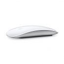 Apple Magic Mouse (MK2E3AM/A)  Product ID 1011054